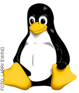 Freie Software wird immer wichtiger: Linux und Open Source im Mittelstand