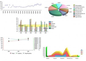 Business Intelligence and Reporting Tools: Business Intelligence mit Eclipse BIRT