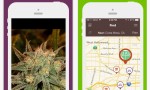 Leafly ist eines der ersten Cannabis-Startups (Screenshot: Leafly-App)