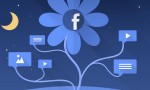facebook organisch reichweite steigern