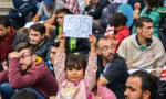 Syrische Flüchtlinge suchen in Deutschland nach Aysl. (Foto: Alexandre Rotenberg / Shutterstock.com)