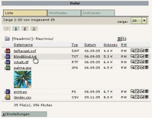 Datei-Management mit System: TYPO3 4.0: DAM
