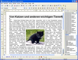 Die umfangreiche Office-Suite für alle wichtigen Betriebssysteme: OpenOffice 2.0