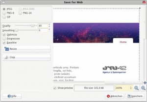 Professioneller Einsatz bei der Gestaltung von Portalen und Intranet 2.0: Portaldesign mit GIMP 2.4
