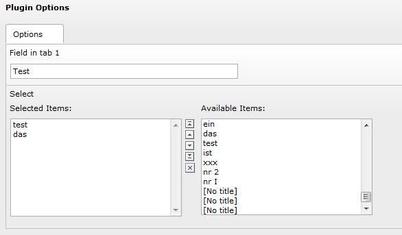 Die Darstellung der gerenderten Felder im Backend.