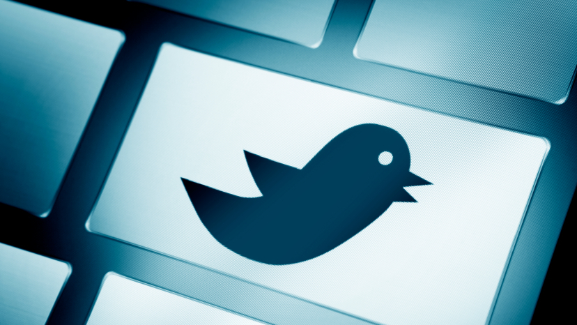 Twitter-API: US-Unternehmen kämpft vor Gericht um Zugang