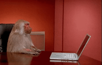The Struggle is Real! (GIF: giphy.com)
