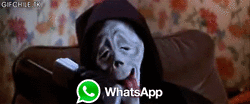 Whatsapp zieht nach und plant endlich den GIF-Support ein. (Grafik: Giphy)