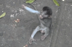 (GIF: GIPHY)