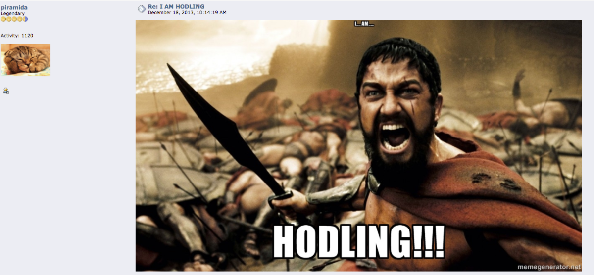 Download Bitcoin Meme Hodl Background