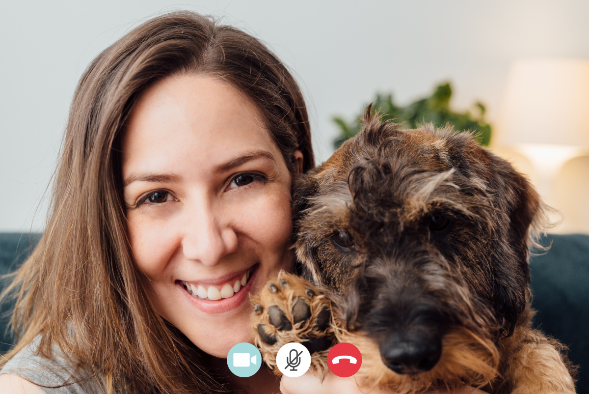 Zoom-Call mit deinem Hund: So machst du es richtig