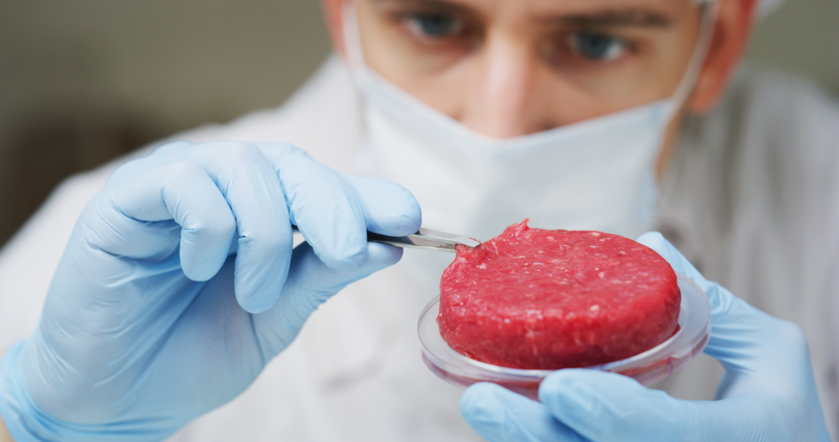 Food tech: one in four people in Germany are open to meat from 3D printers