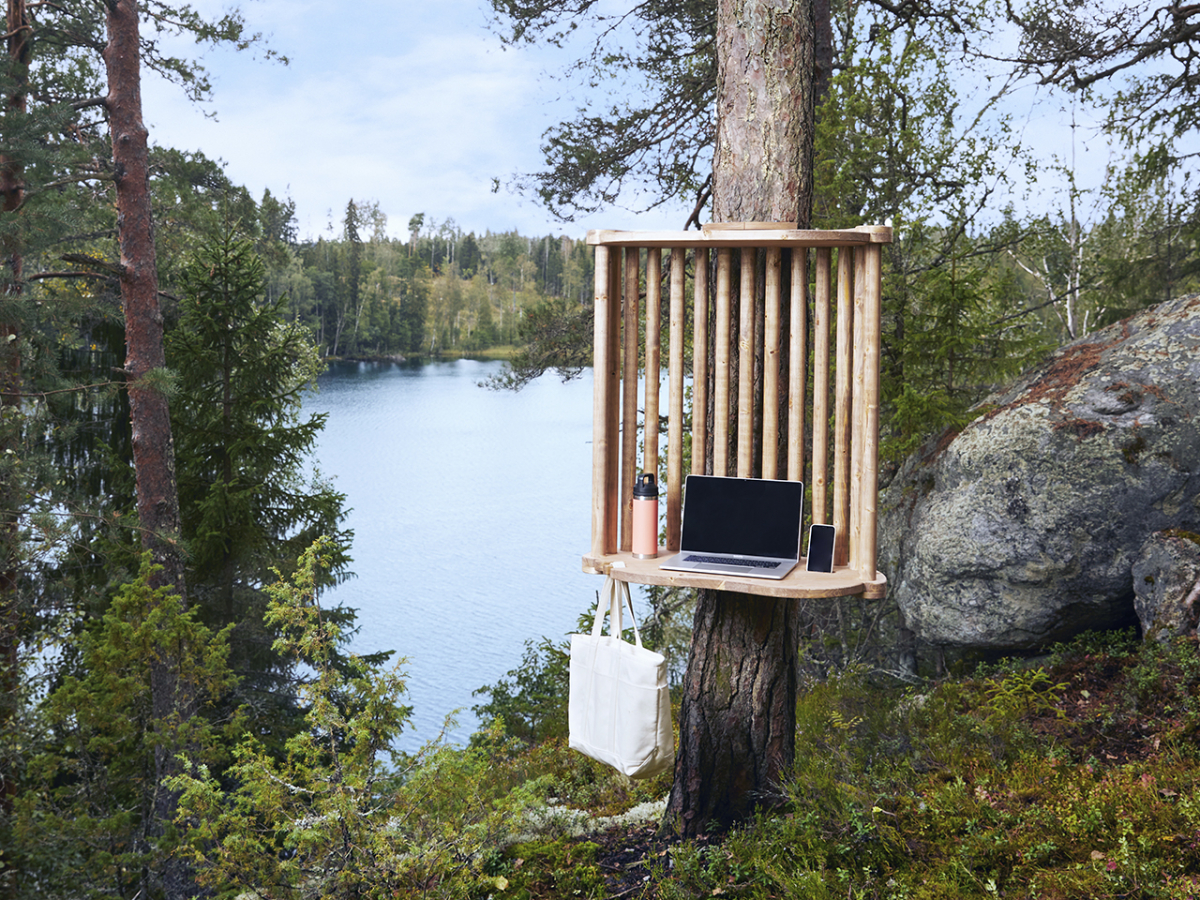 Kein Strom, keine Toilette, dafür Elche: In Finnland kannst du mitten im Wald arbeiten