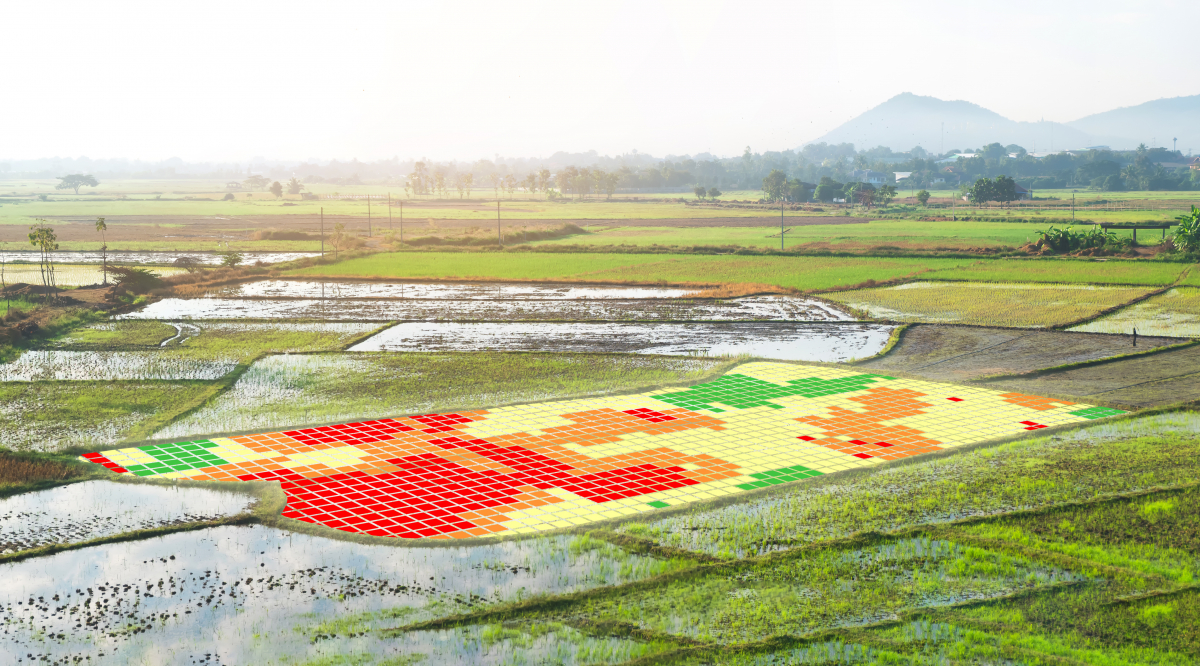 Landwirtschaft 4.0: Sensoren, Big Data und Automationen auf dem Feld