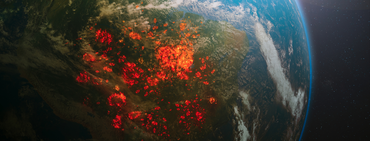 Münchner Startup will mit einem Satellitennetz Waldbrände entdecken