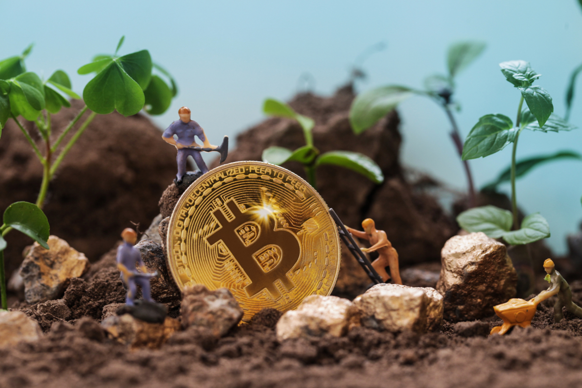 Greenpeace und Co fordern von Bitcoin: „Change the Code not the Climate“