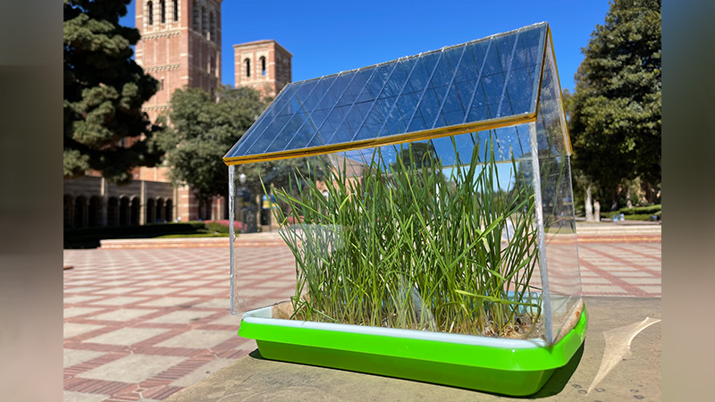 Greenhouse with semi-transparent solar roof surprises science