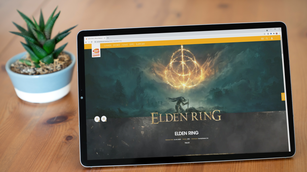 Did these developers steal animations from Elden Ring?
