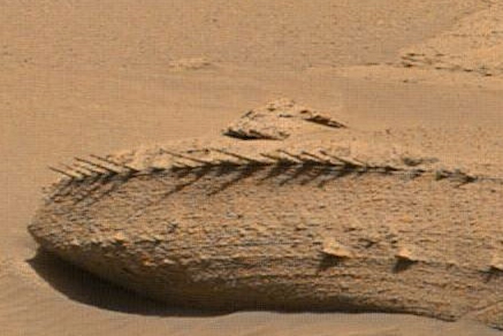Dinosaur Bones or Fish Bones?  Mars rover Curiosity discovers bizarre rock
