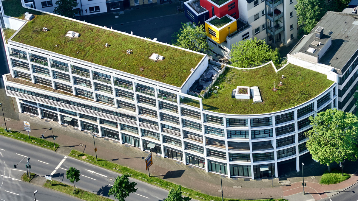 Company makes green roofs out of tires: environmentally friendly and natural cooling