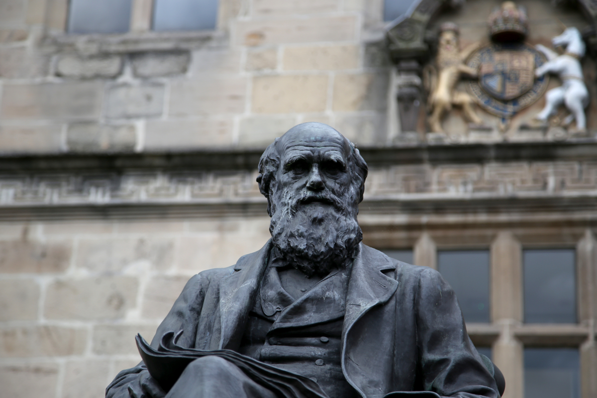 Forscher rekonstruieren Charles Darwins Bibliothek – und ihr könnt auf viele Werke zugreifen