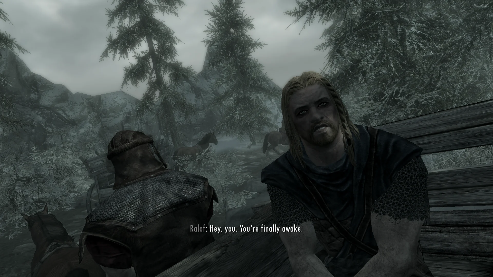 Dieser Skyrim-Mod lässt den Twitch-Chat zu NPC werden Dieser Skyrim-Mod lässt den Twitch-Chat zu NPC werden