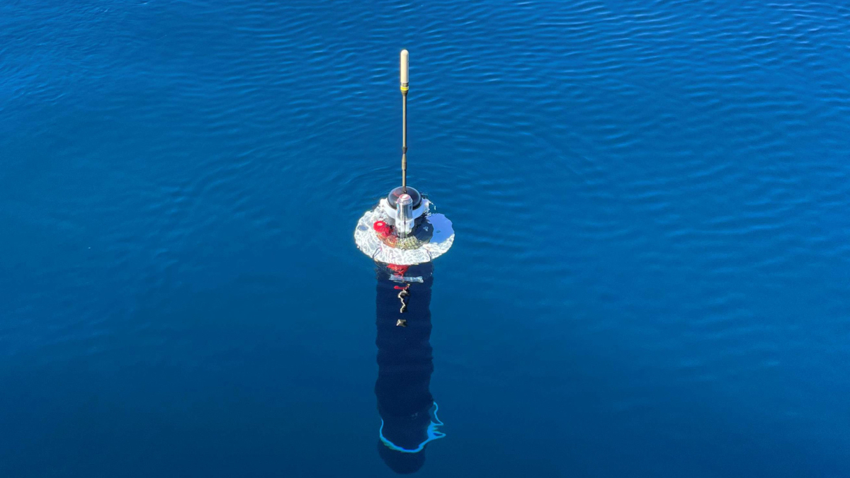 Underwater robots can stay in the ocean indefinitely thanks to NASA technology